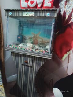 Aquarium or fish tank for sale