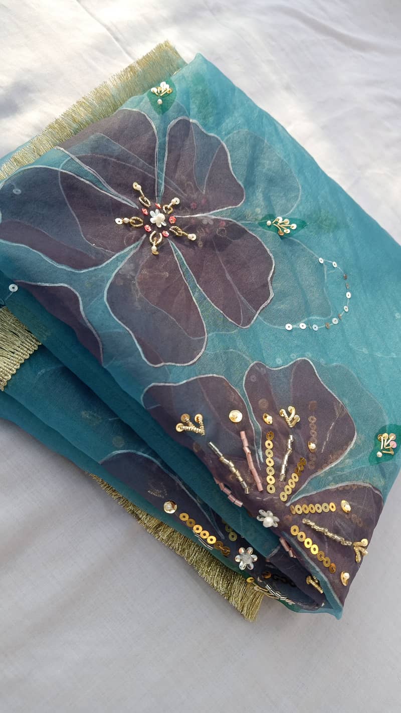 Hand painted and embellished orgenza duppata and dresses 0