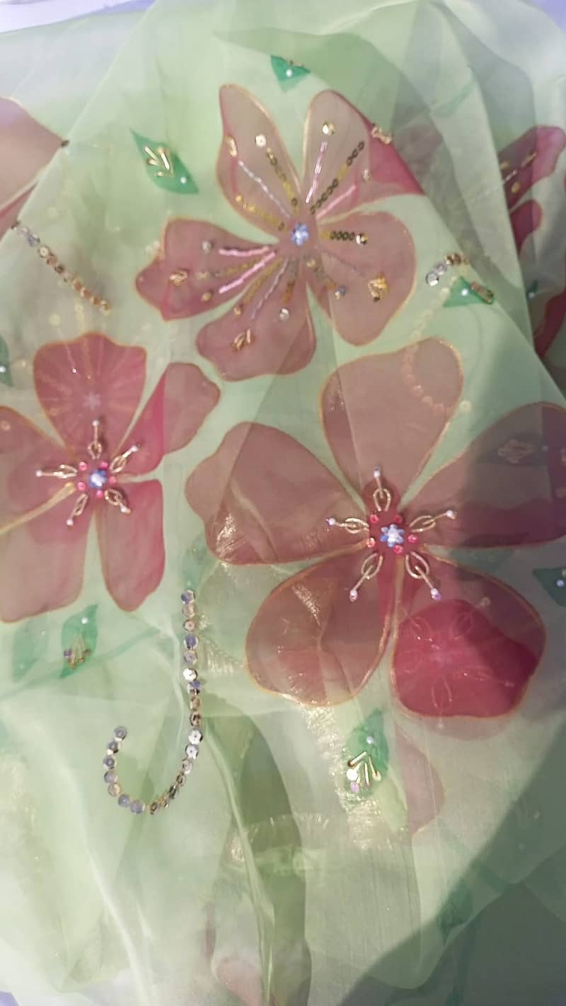 Hand painted and embellished orgenza duppata and dresses 1