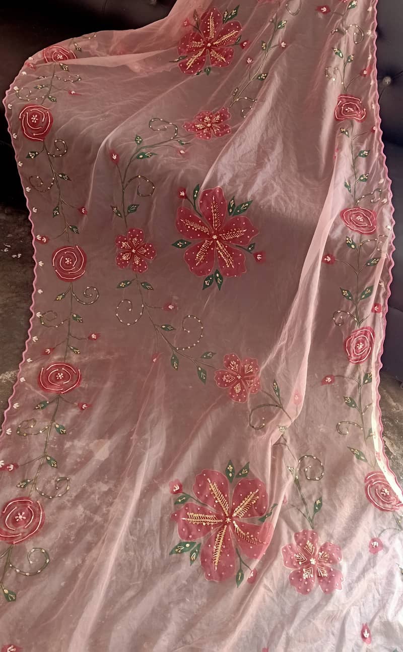 Hand painted and embellished orgenza duppata and dresses 2