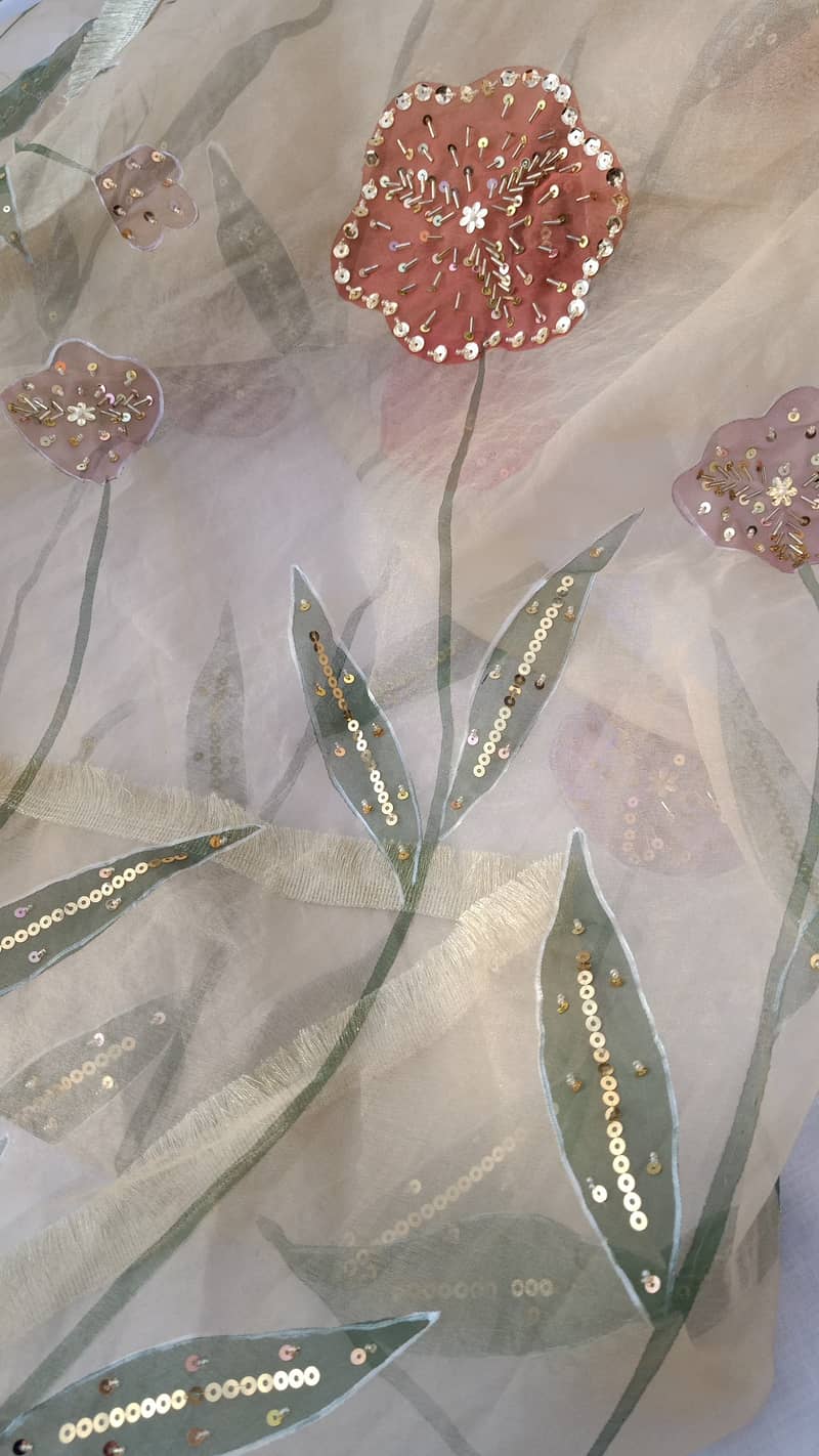 Hand painted and embellished orgenza duppata and dresses 3