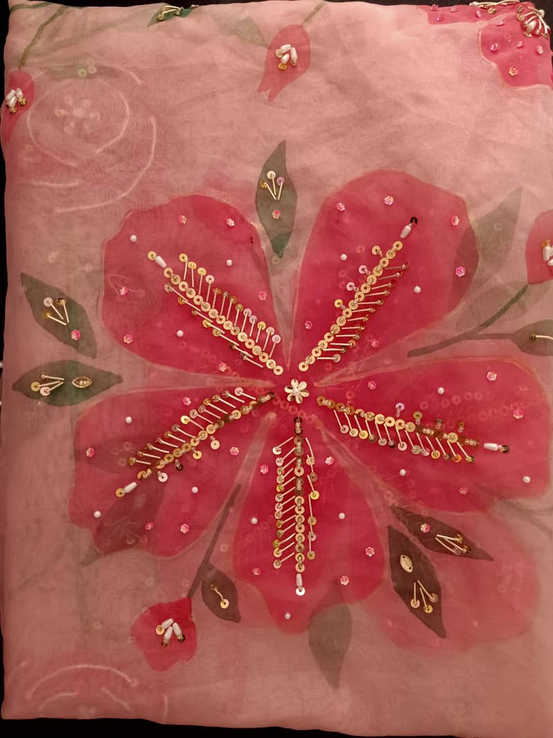 Hand painted and embellished orgenza duppata and dresses 5