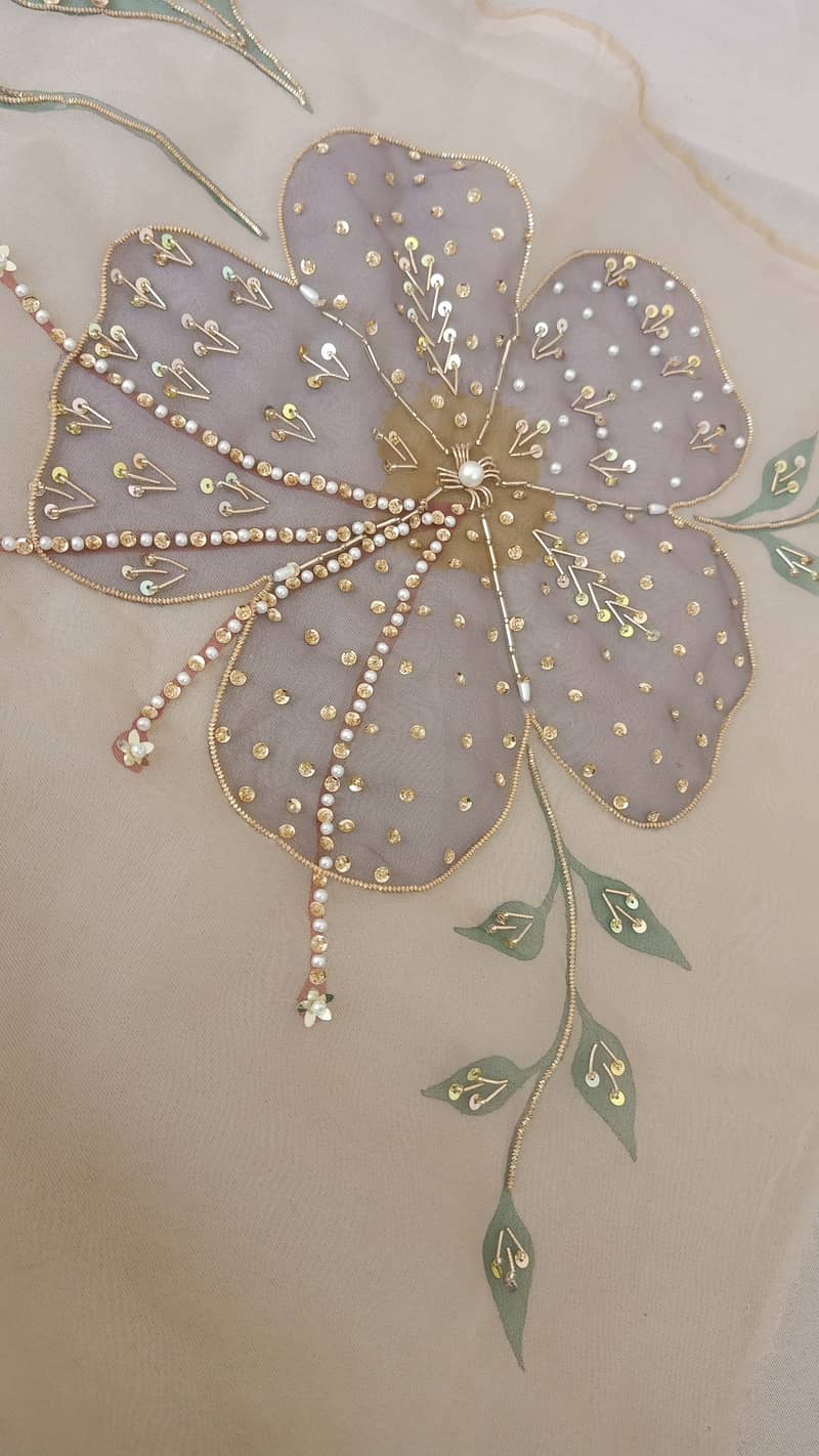 Hand painted and embellished orgenza duppata and dresses 7