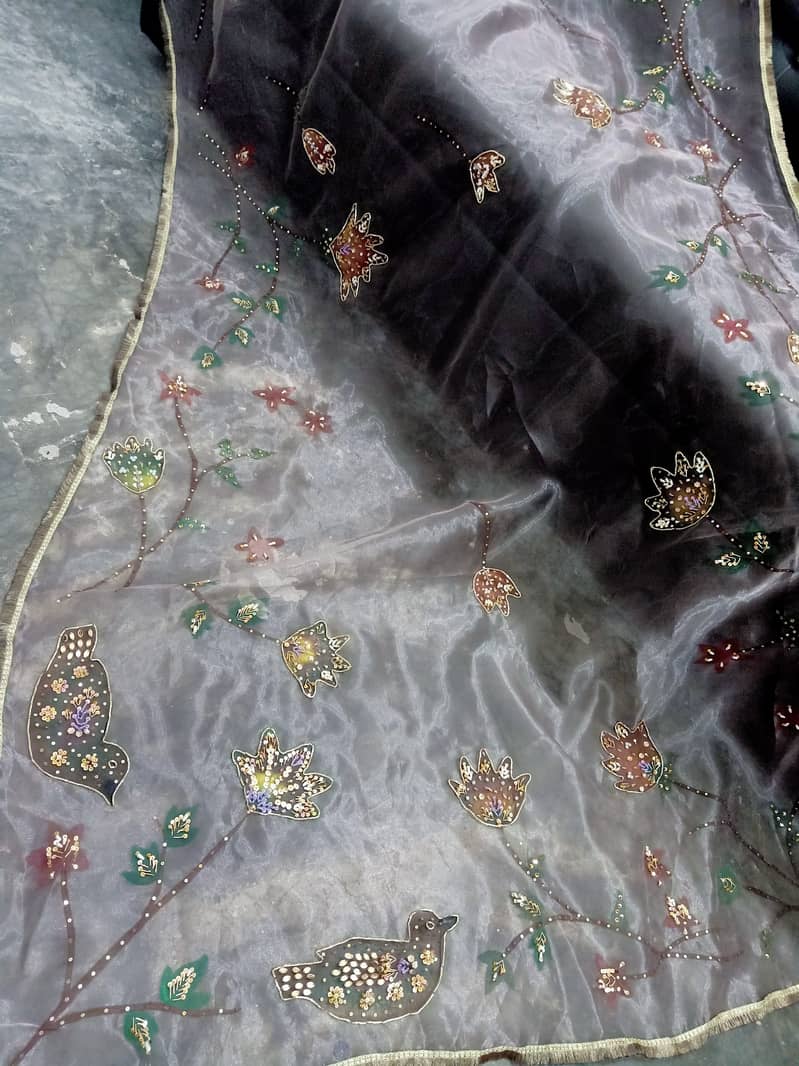 Hand painted and embellished orgenza duppata and dresses 10
