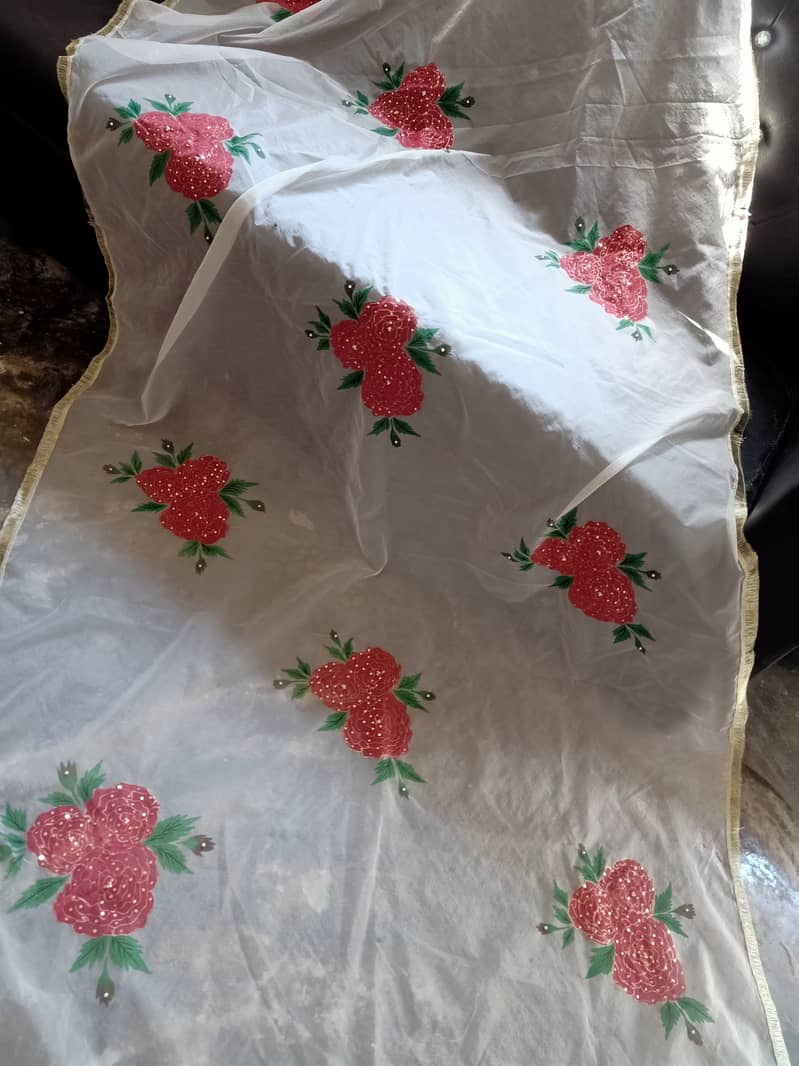 Hand painted and embellished orgenza duppata and dresses 13