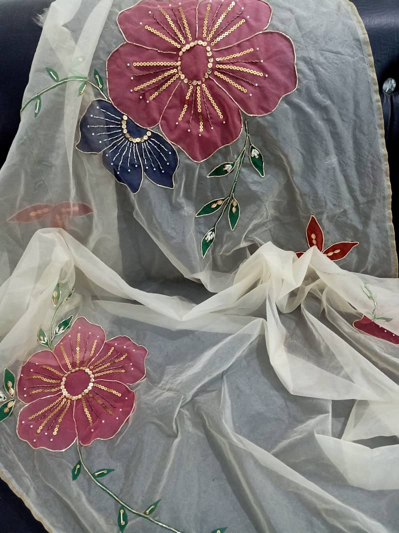 Hand painted and embellished orgenza duppata and dresses 15