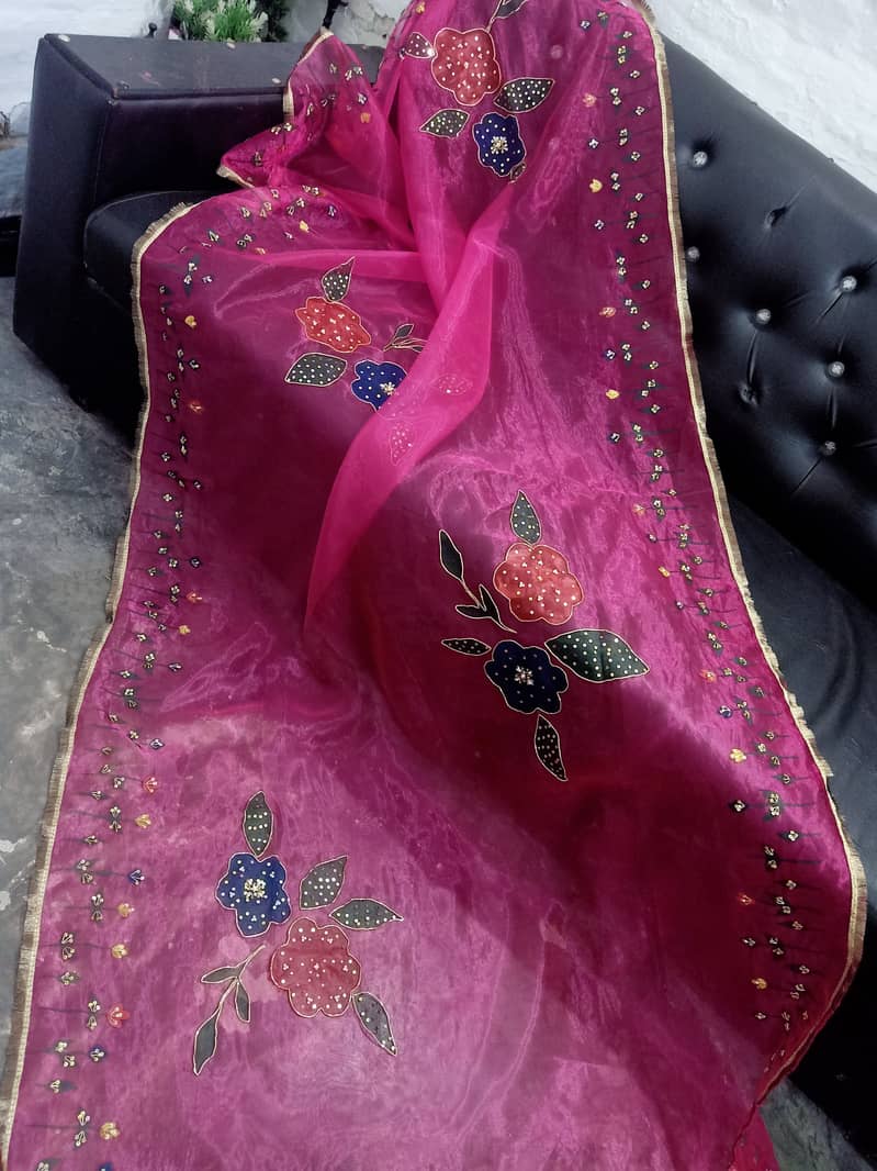Hand painted and embellished orgenza duppata and dresses 16