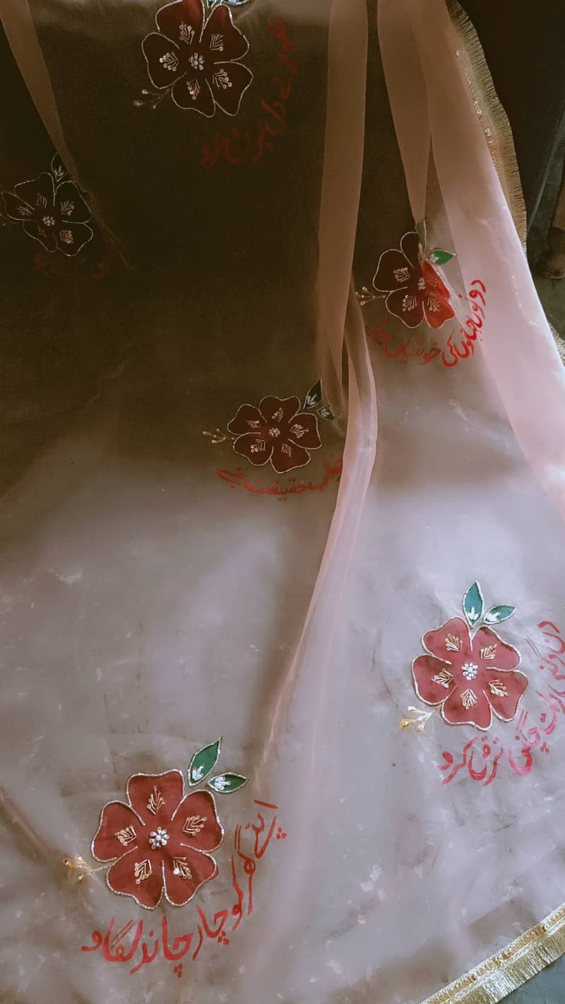 Hand painted and embellished orgenza duppata and dresses 17