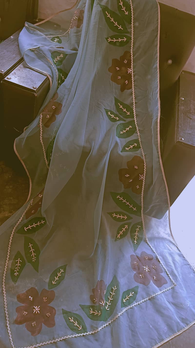 Hand painted and embellished orgenza duppata and dresses 18