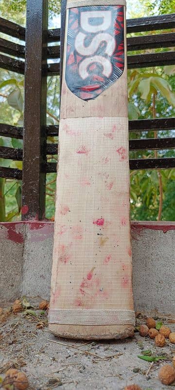 pure English willow top grade used bats available in low prices 10