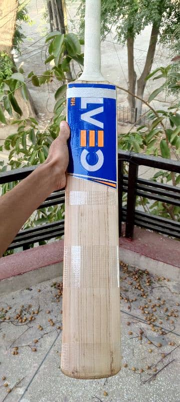 pure English willow top grade used bats available in low prices 11