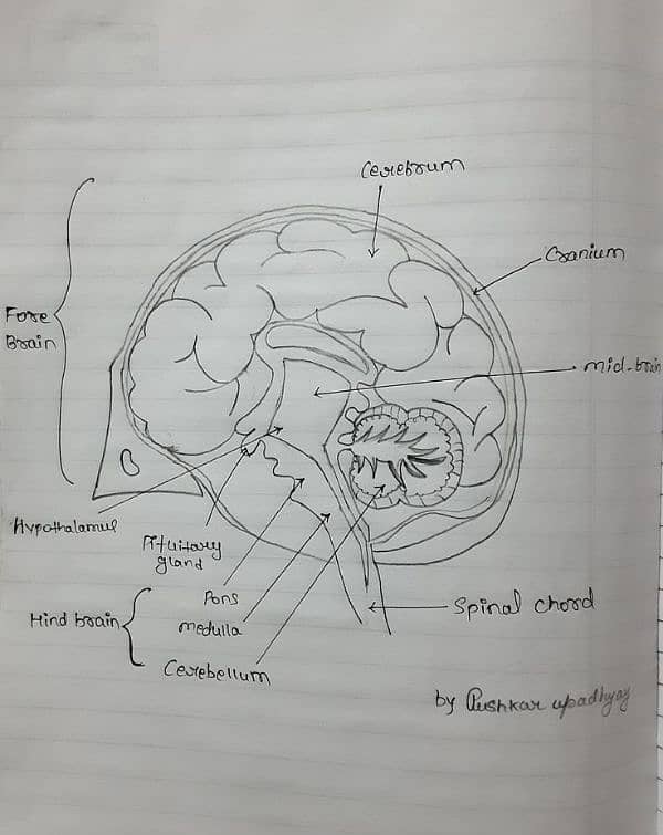 Content Writing 3