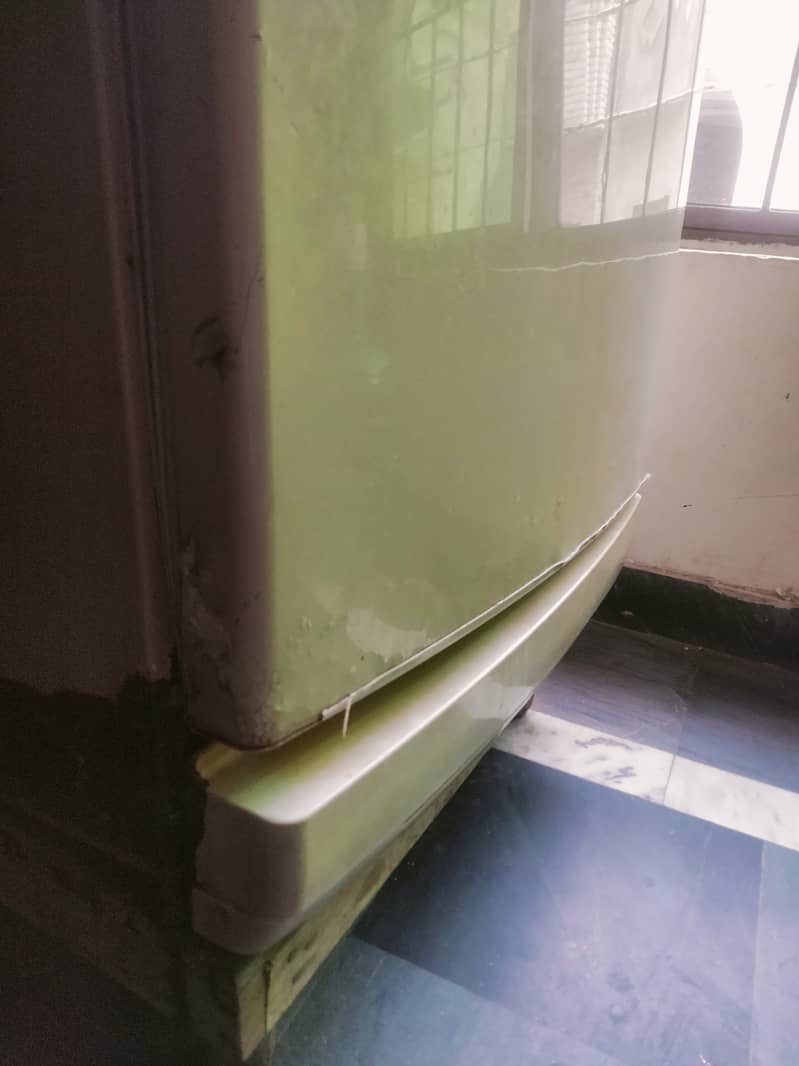 Pel refregerator/Fridge 1