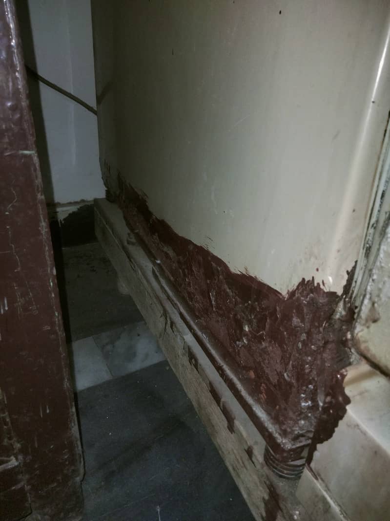 Pel refregerator/Fridge 3