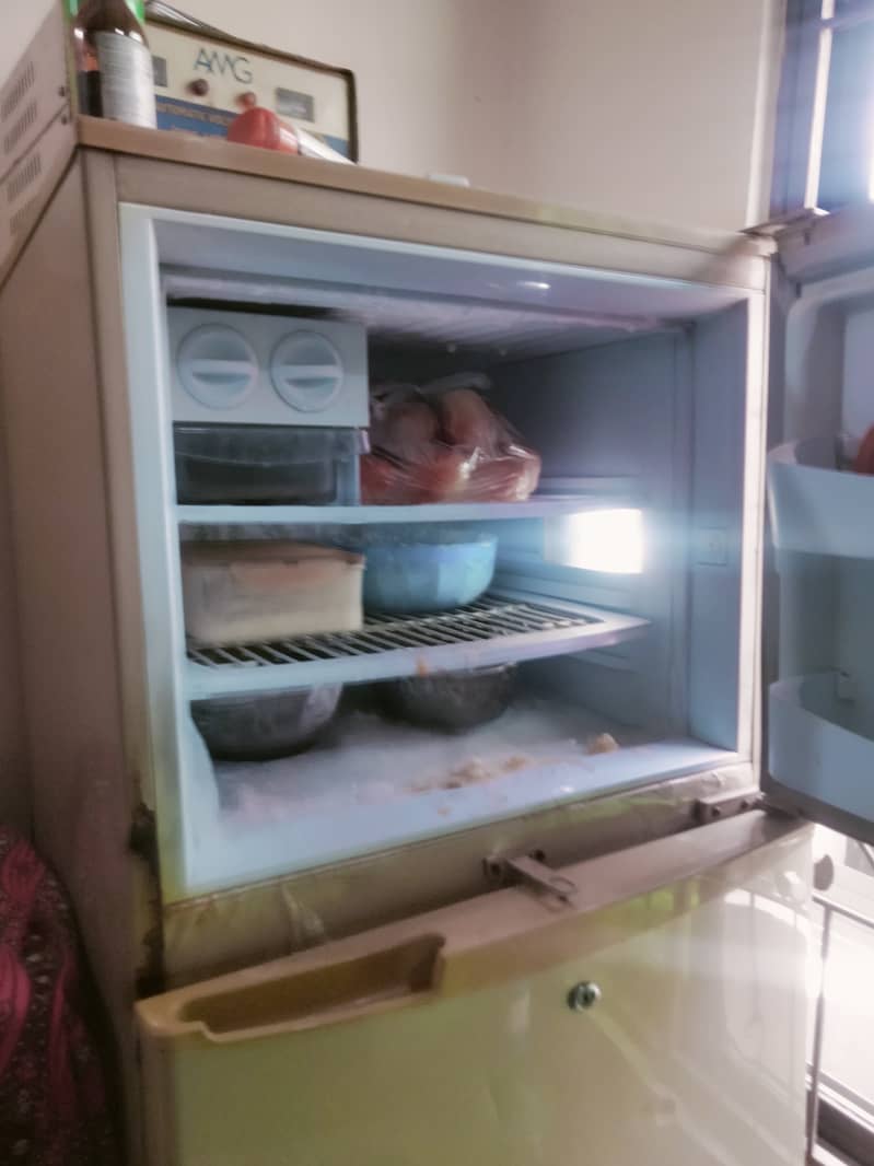 Pel refregerator/Fridge 4