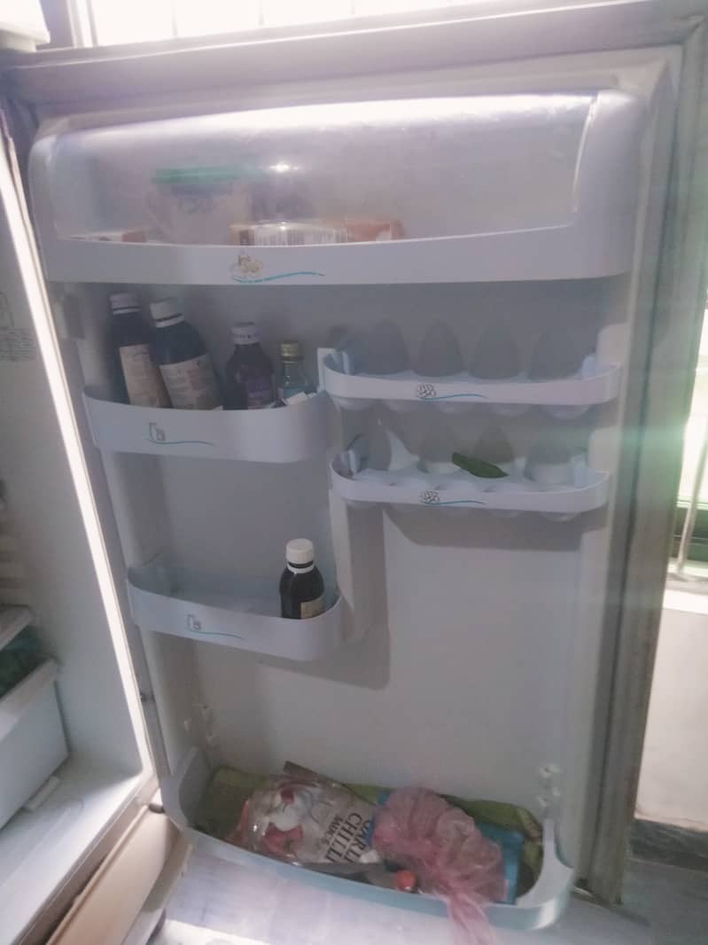 Pel refregerator/Fridge 5