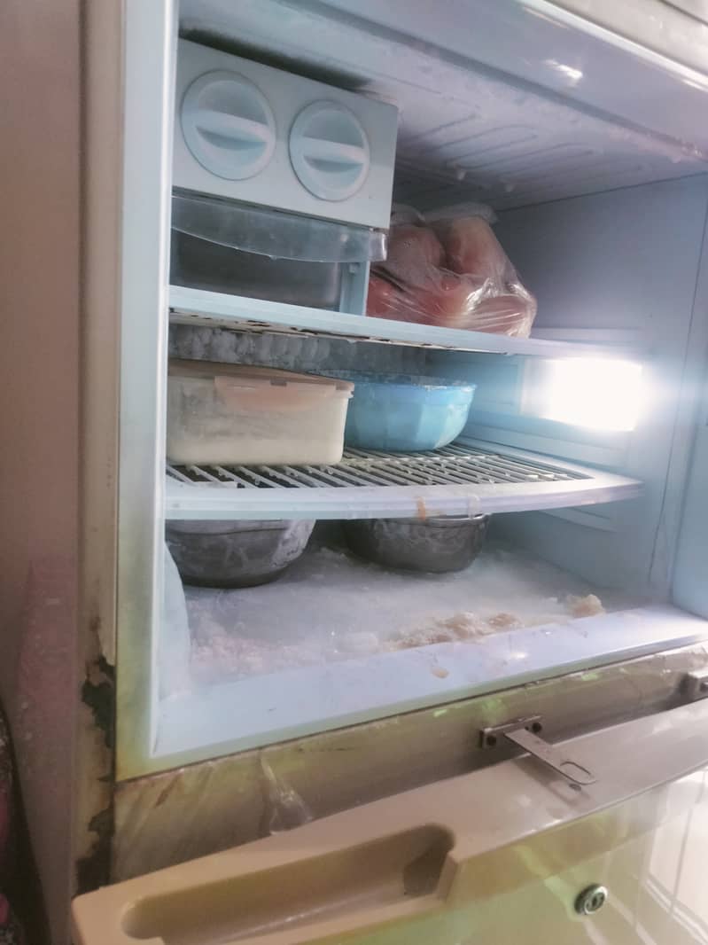 Pel refregerator/Fridge 6