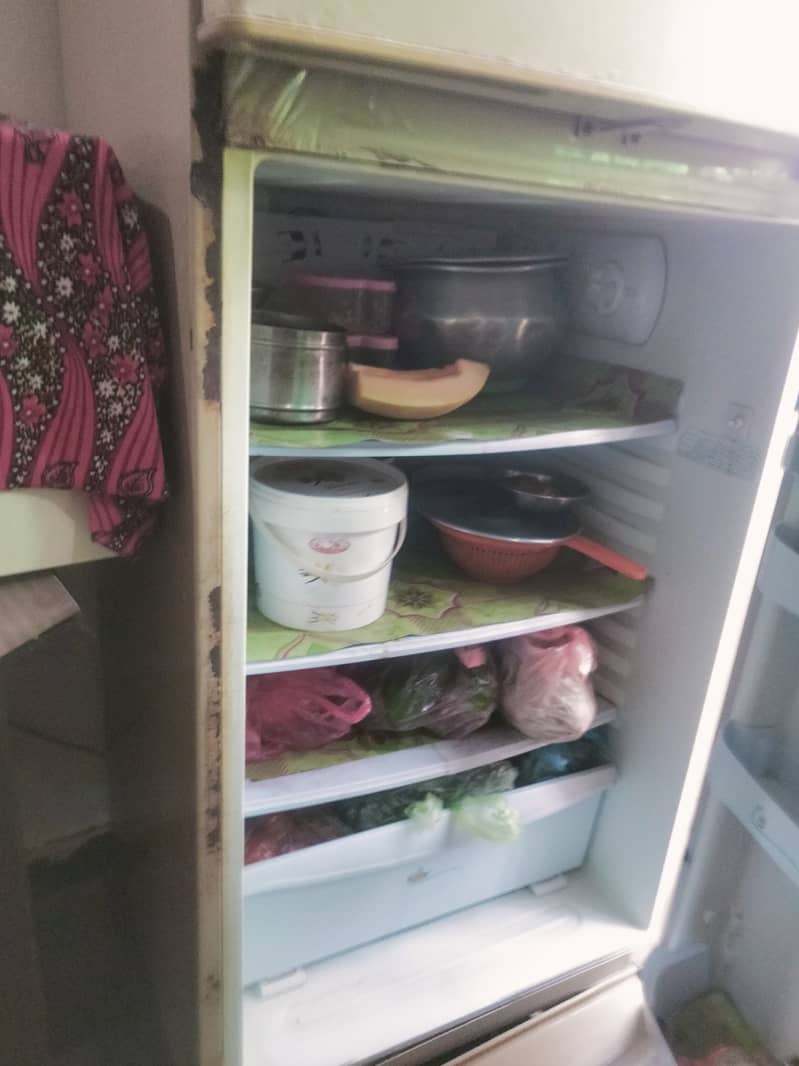 Pel refregerator/Fridge 7