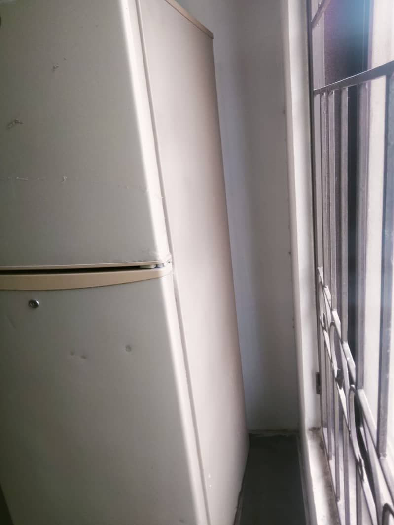Pel refregerator/Fridge 9
