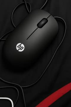 Mouse