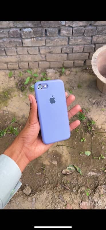 iPhone 7 PTA OFFICIAL APPROVED 32 Gb 3