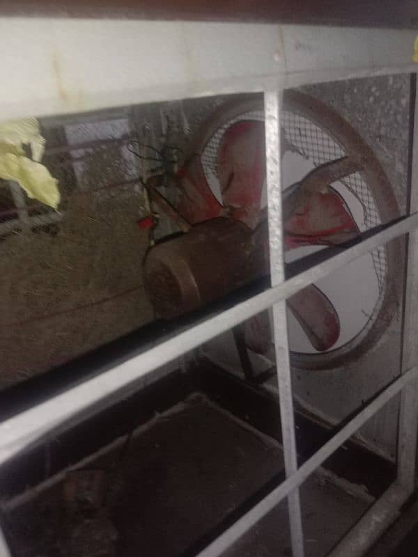 cooler urgent sale 2
