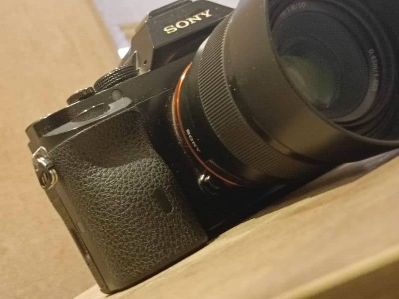 Sony a7 Body Only | 50mm FE 1