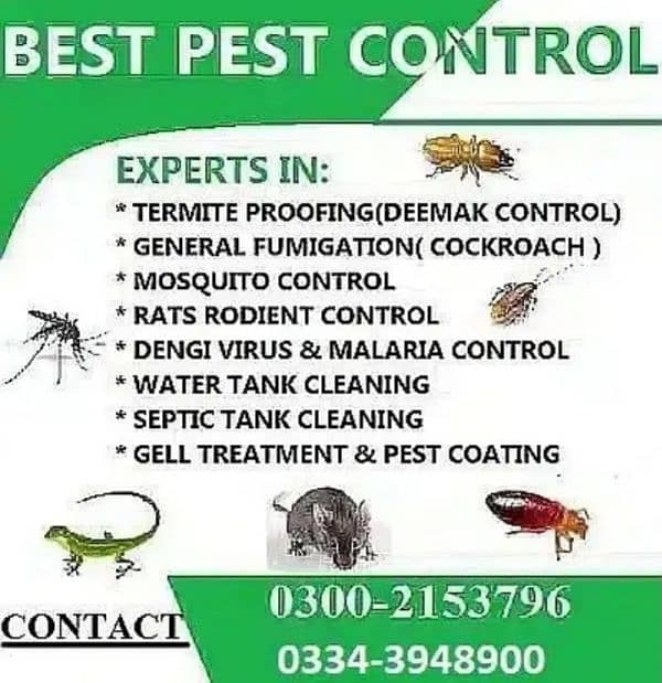 pest control , fumigation , cockroach , termite , deemak ,bed bugs 1