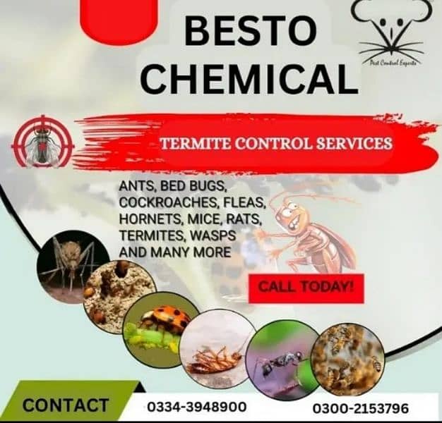 pest control , fumigation , cockroach , termite , deemak ,bed bugs 3