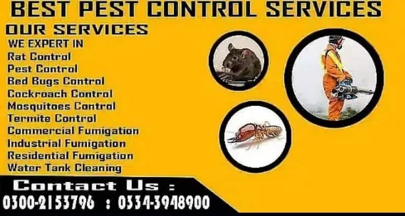 pest control , fumigation , cockroach , termite , deemak ,bed bugs 4