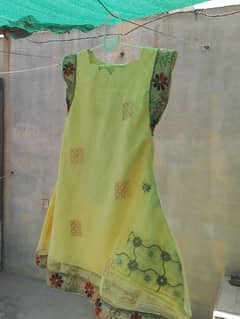 Fancy net and bnarsi suits