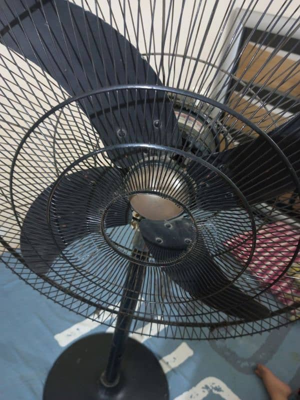 Super Dulex pedastal fan 2