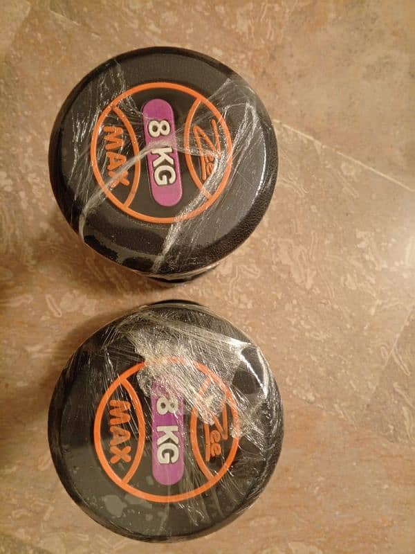 8kg dumbells (zee max) 1