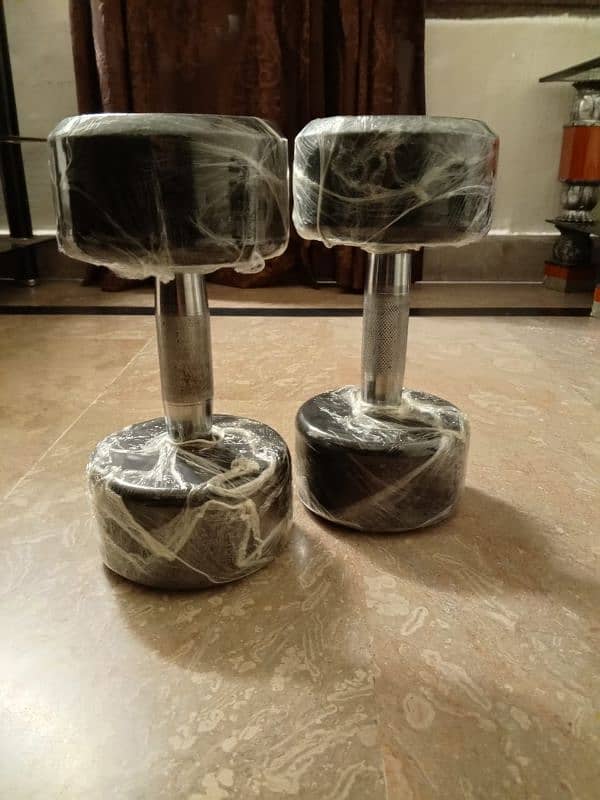 8kg dumbells (zee max) 2