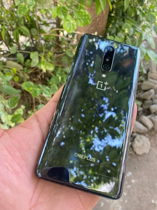 one plus lush condition set 1