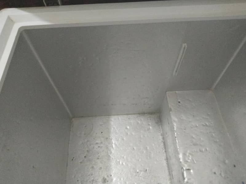 Deep Freezer single door 1