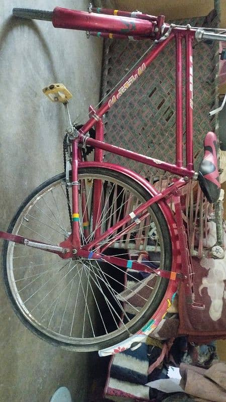 PEGO MADE IN PAKISTAN 2