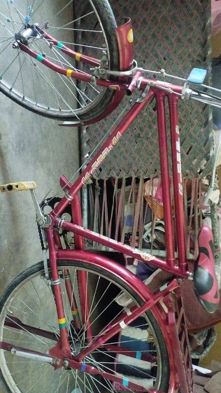 PEGO MADE IN PAKISTAN 14