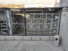 for sale