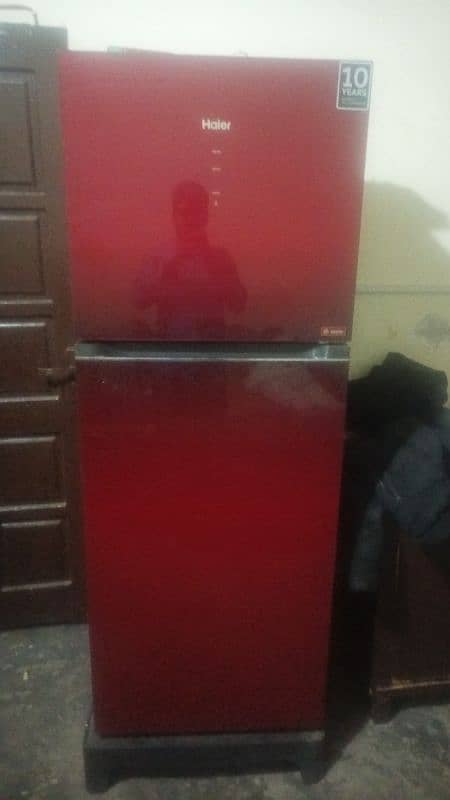 HAIER FULL JAMBO SIZE REFRIGERATOR 1