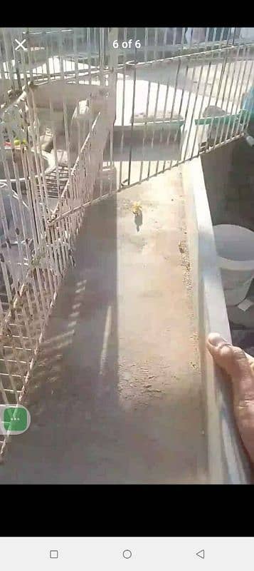 بڑے سائز کا مرغیوں اور پرندوں کا پنجرہ 3
