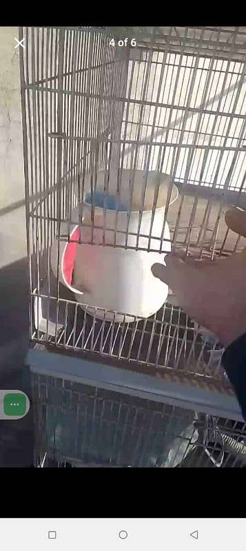 بڑے سائز کا مرغیوں اور پرندوں کا پنجرہ 5