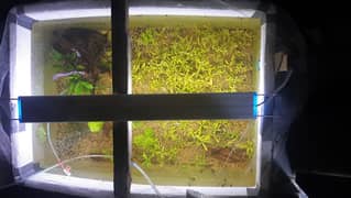Aquarium