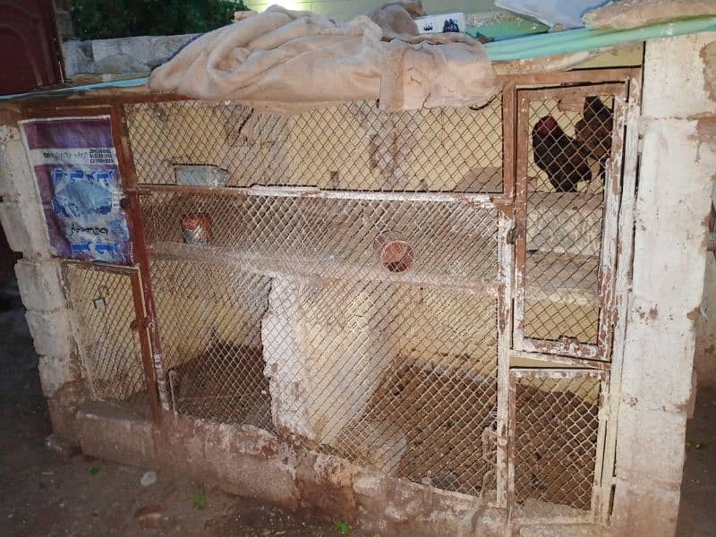 cage for for sale front frame joli Cha darwaje do Bhai do 0