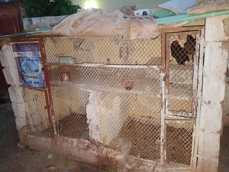 cage for for sale front frame joli Cha darwaje do Bhai do 2