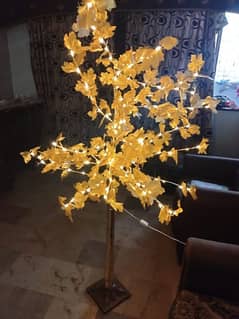 light