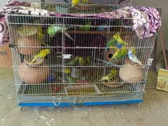 Bajri totay for sale
