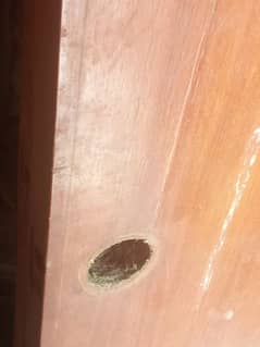 doors