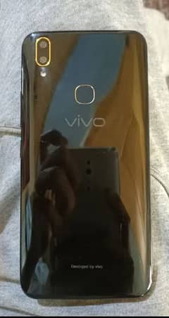 vivo