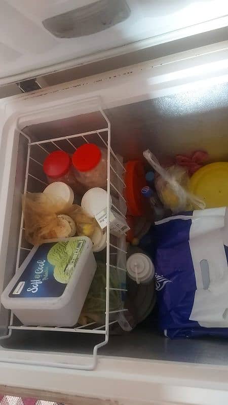 waves deep freezer 1